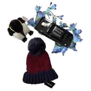 Kyi Kyi Canada NWT Hand Made Knitted Beanie with Pom Pom Women OS